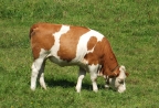 Picture4